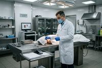 Глава бюро СМЭ в Сочи получил срок за пересадку биоматериалов одного трупа другому