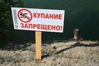 Под Волгоградом обнаружили труп в реке Ахтуба