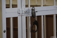 В Волгограде курьера по делу о 100 серебряных слитках поместили в СИЗО
