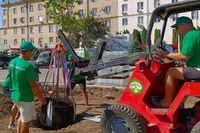 Озеленители взялись «оживить» обновленную Привокзальную площадь Волгограда