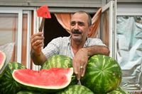 Первые волгоградские арбузы прошли проверку: ее результаты