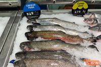 В Волжском предприниматель умудрился превратить тунца в морского слизня
