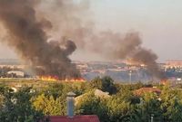 «Тушили 12 часов»: на юге Волгограда сгорели 25 га гнездовий птиц