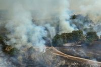 Пожар в заповеднике под Анапой разросся до 70 гектаров из-за падения БПЛА