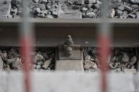 Пассажирский поезд насмерть сбил двух человек в Ростове