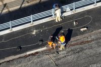 На трассе Р-22 «Каспий» вводят реверсивное движение на 2 месяца