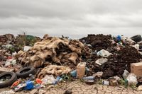 Землевладельца обязали рекультивировать после шкур и навоза участки под Волгоградом