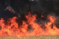 Донской фермер получил штраф за пожар после падения БпЛА на поле: за него вступились в ГД