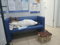 Неравнодушные волгоградцы спасают редкую птицу с оторванным крылом