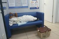 Неравнодушные волгоградцы спасают редкую птицу с оторванным крылом