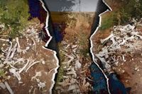 «Здесь было 10 тысяч бычков»: горы костей животных обнаружили под Волгоградом