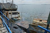 Волгу на севере Волгограда очистили от затопленного судна «Главрыбвода»