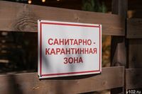 Вспышку бруцеллеза ликвидируют на ферме в Волгоградской области