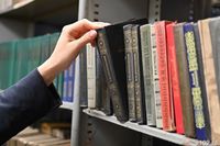 Волгоград назван самым «молодым» читающим городом-миллионником