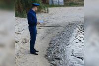 В Волгограде выясняют причину массовой гибели рыбы в пруду на Ангарском