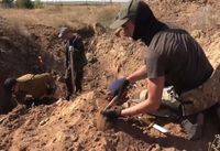Останки 14 узников лагеря «Дулаг 205» подняли поисковики в поселке Волгограда