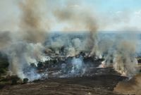 В Волгоградской области потушили лесной пожар на 0,1 га