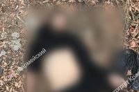 На юге Волгограда обнаружен труп мужчины