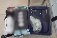 Волгоградец прилетел из Антальи с запрещенным кастетом