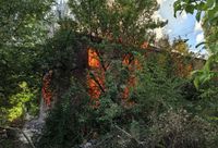 На юге Волгограда загорелась двухэтажная заброшка