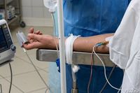 62-летняя волгоградка умерла, поев грибов