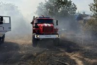 В Волгограде пожарные отвоевали СНТ «Дзержинец» от огня