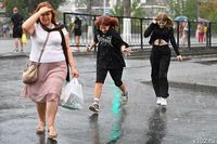 МЧС: ливни с градом обрушатся на Волгоградскую область 24 сентября