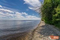 Ученые нашли у берегов Кубани новый вид водорослей, характерный для тропиков