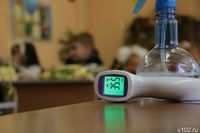Главные симптомы ротовирусной инфекции медики напомнили волгоградцам