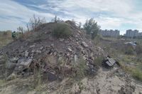 Росприроднадзор намерен взыскать 166 млн рублей за свалку в Волгограде