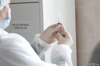 Четыре вируса гриппа угрожают волгоградцам