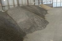 Урожай подсолнечника украли с поля фермера в Волгоградской области