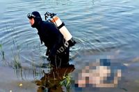Под Волгоградом во время купания утонул мужчина