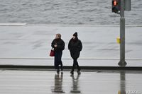 Когда в Волгограде начнется промозглая осень, рассказали синоптики