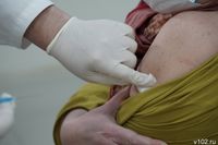 О нюансах расчёта пособий напомнили беременным волгоградкам