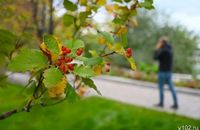 Неделя тепла и солнца ждет волгоградцев