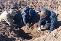 Поисковики нашли останки 21 воина под Волгоградом
