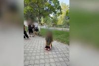 «Прости меня»: кадры унижений школьницы из Волгоградской области слили в сеть