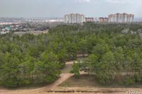 В Волгограде на полвека сдадут лесной участок у санатория «Волгоград»