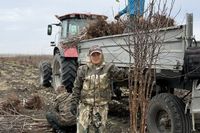 «Сады Придонья» увеличивают свои активы