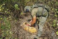 МЧС обезвредит авиабомбу, найденную в лесопосадке под Волгоградом
