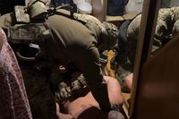 ФСБ задержала волгоградца за оправдание терроризма в Telegram