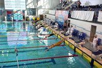 Волгоград доказал силу плавательной школы на чемпионате и первенстве ЮФО