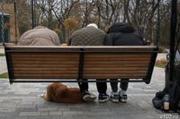 ИИ подбирается к российским школам: дети начнут изучать нейросети