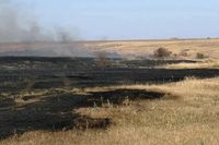 В Михайловке второй день бушуют крупные ландшафтные пожары