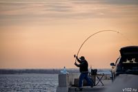 Волгоград проводил последний необычайно теплый день октября: смотрим фото