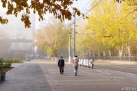 Города-миллионники в тупике: демографическая стагнация в Волгограде и Ростове