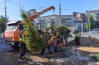 В Волгограде после напоминания Бочарова решили поддать зелени на ул. 7-й Гвардейской