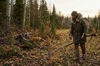 Сезон охоты на пушных зверей стартует в Волгоградской области с ноября