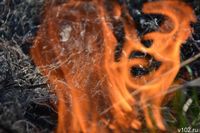 В СНТ Волгограда потушили крупный ландшафтный пожар